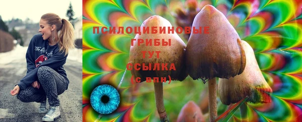 мяу мяу мука Аркадак