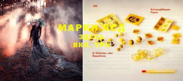 мяу мяу мука Аркадак
