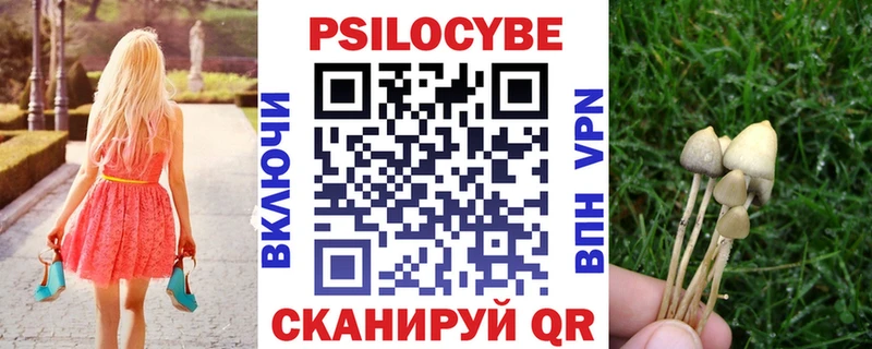 купить наркоту  Кировск  Псилоцибиновые грибы прущие грибы 