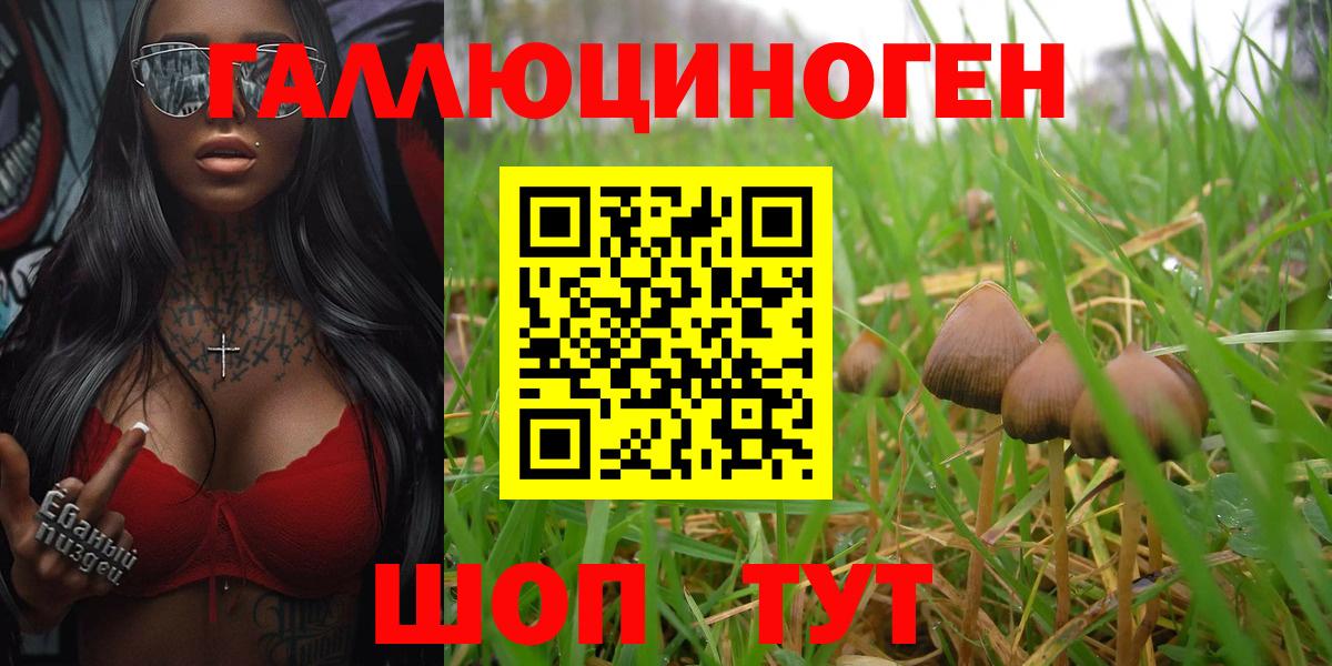 Псилоцибиновые грибы ЛСД  Вход с VPN  Кировск  Галлюциногенные грибы Magic Shrooms 