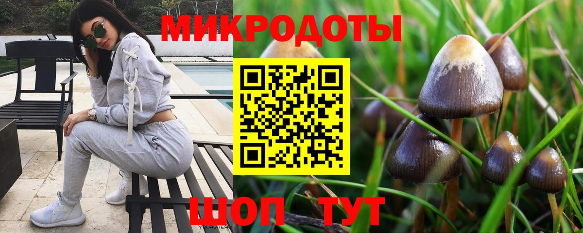 Псилоцибиновые грибы MAGIC MUSHROOMS Кировск